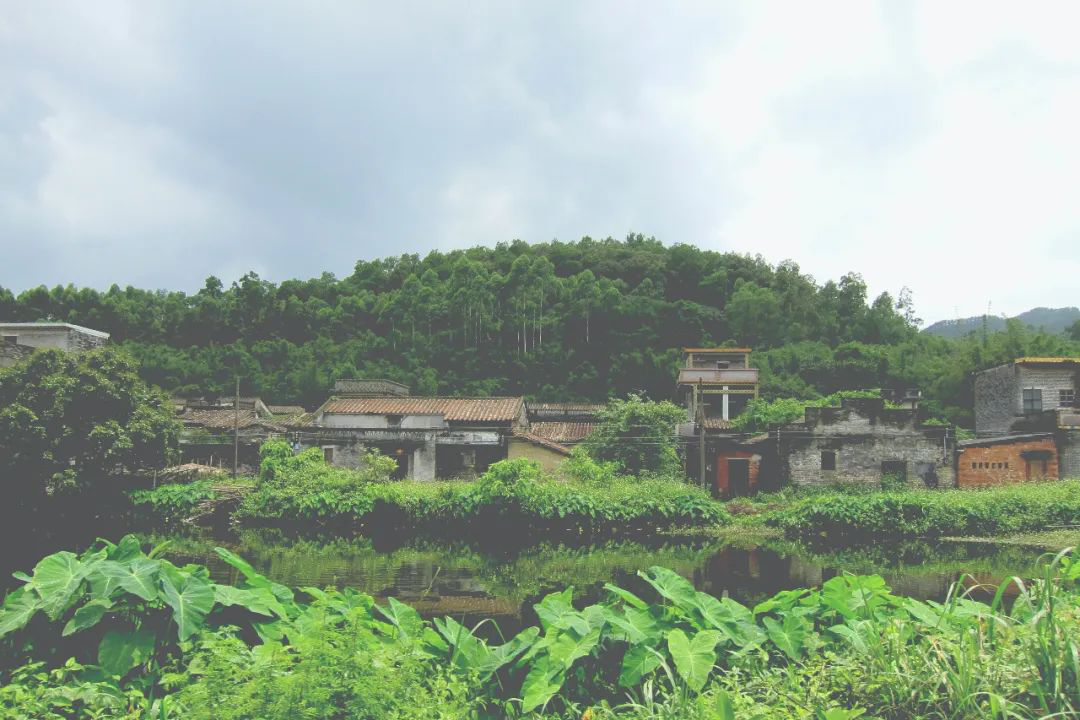 这6种宅基地不再属于自己、子女无法继承！