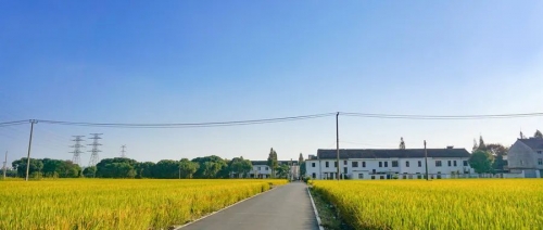集体土地征收中，需要满足什么条件才能进行征收？怎么判断征收是否合法？