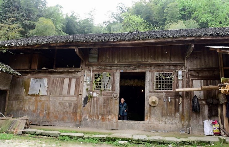 严惩非法占用耕地建房行为！请看这些案例