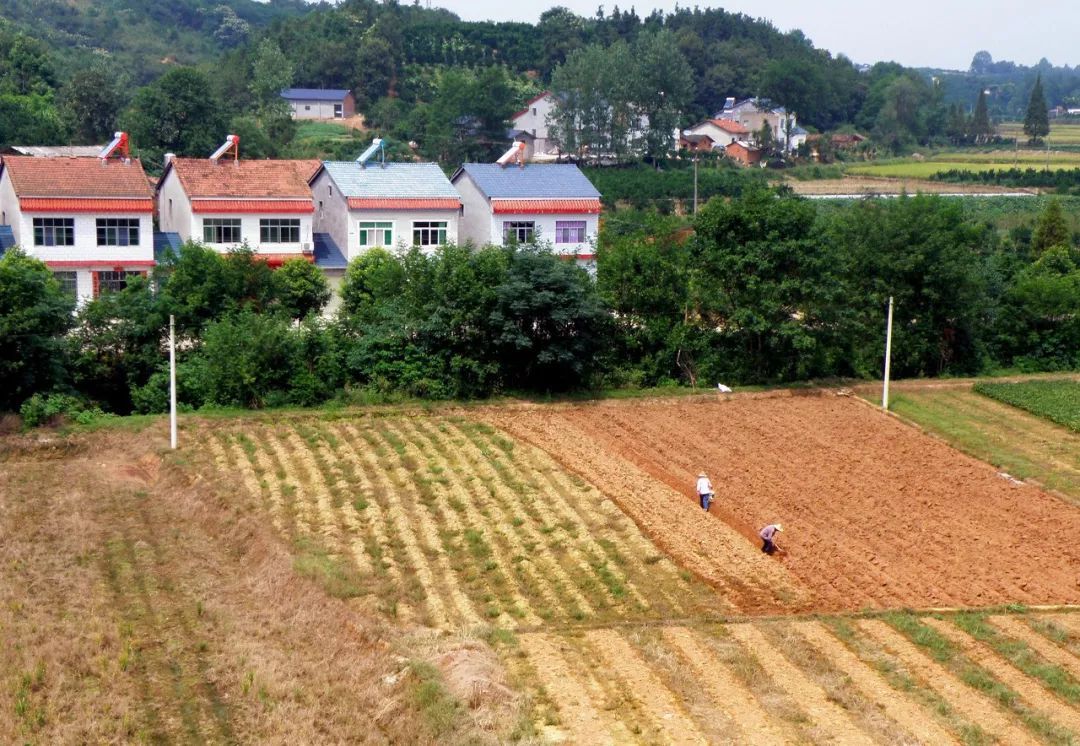 堵后门+开前门，自然资源部有关负责人解读农村建房新政