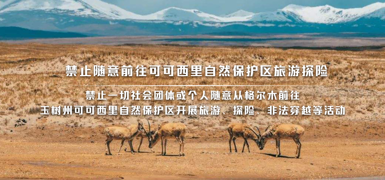 格尔木：禁止随意前往可可西里自然保护区旅游探险