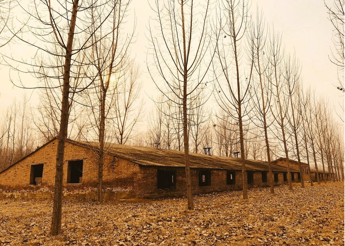 当初鼓励办的养殖场如今被定为违建，连补偿都没有？