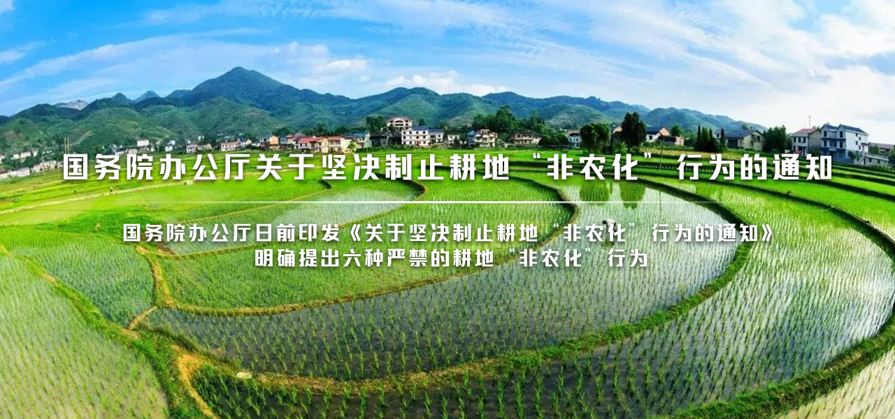 重磅！国务院办公厅关于坚决制止耕地“非农化”行为的通知
