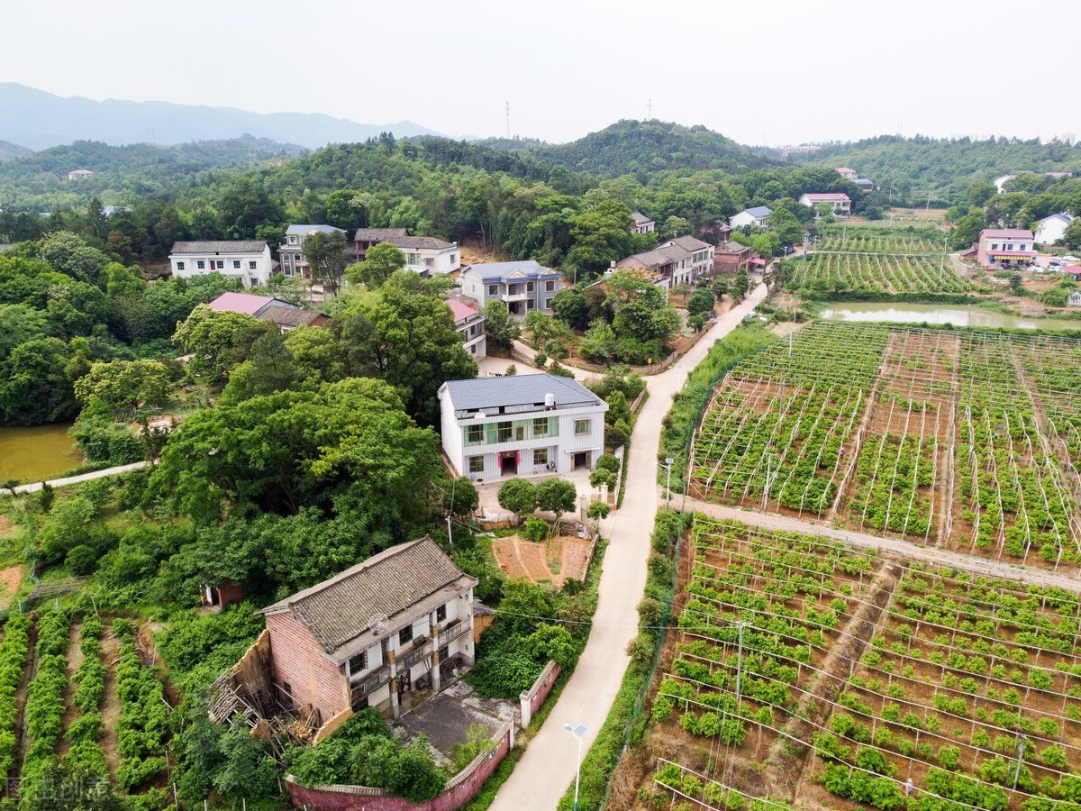 自然资源部挂牌督办这11起土地违法案件