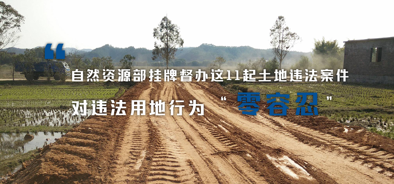 自然资源部挂牌督办这11起土地违法案件