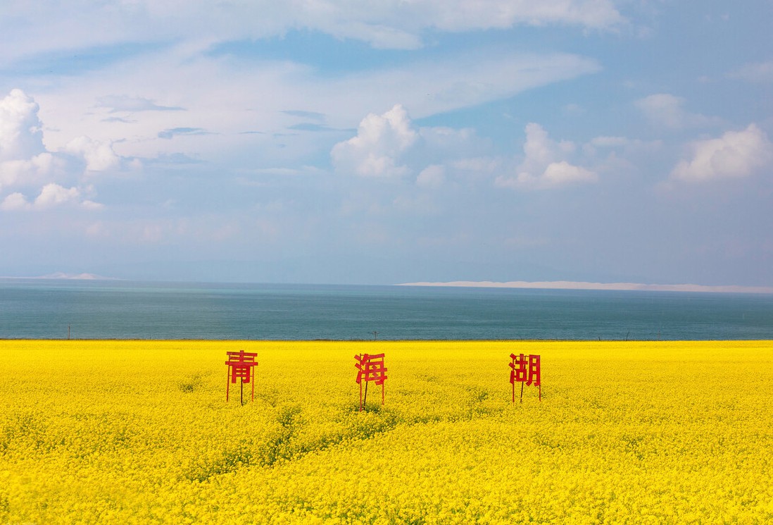 青海省最新征地区片综合地价发布，全国“数据库”公众可查！