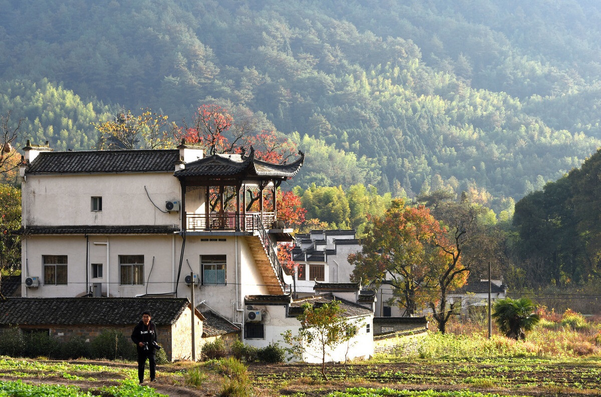 定了！农村这四种宅基地不能确权