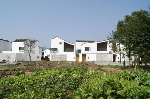 江苏省农业农村厅关于积极开展农村闲置宅基地和闲置住宅盘活利用的意见
