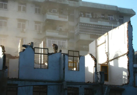 城镇户籍子女继承农村宅基地，将显著提升宅基地利用效率