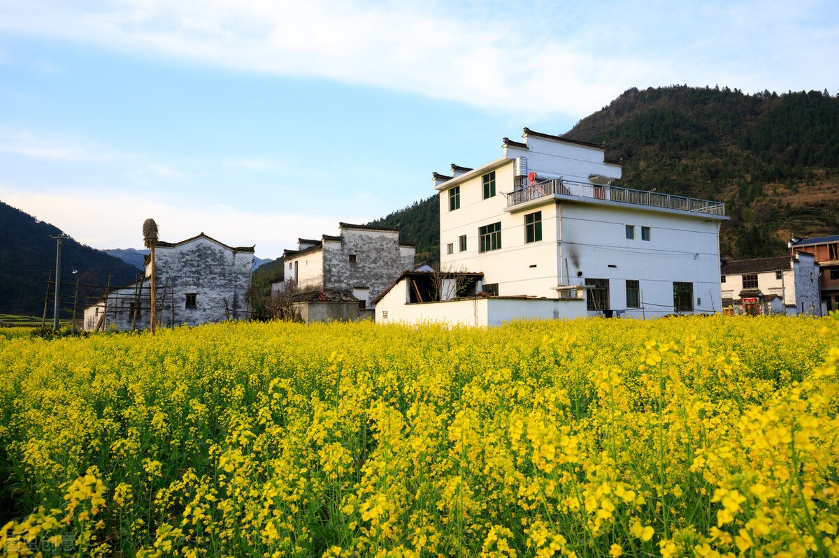 宅基地使用权可继承有助乡村振兴
