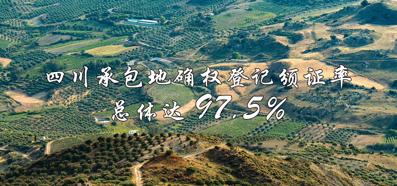 四川承包地确权登记颁证率总体达97.5%
