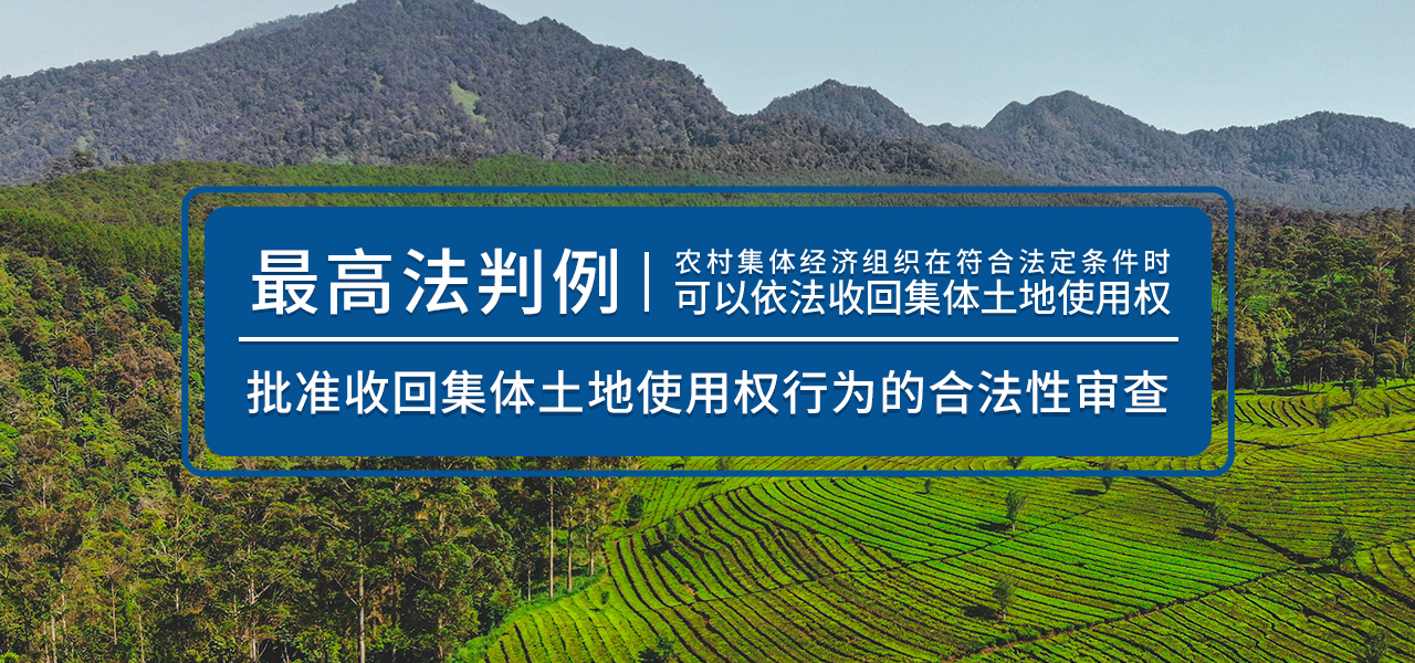 最高法判例：批准收回集体土地使用权行为的合法性审查