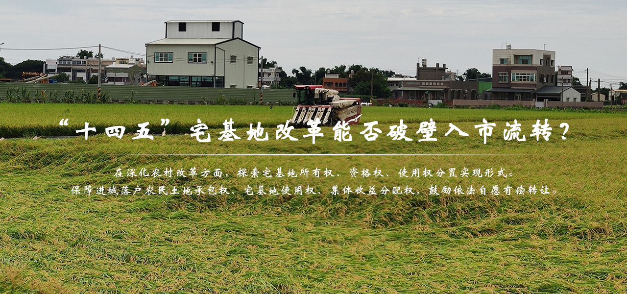 “十四五”宅基地改革能否破壁入市流转？