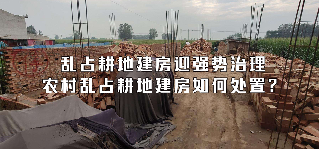 乱占耕地建房迎强势治理，农村乱占耕地建房如何处置？