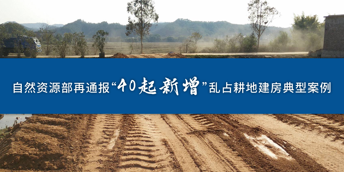 自然资源部再通报40起新增乱占耕地建房典型案例