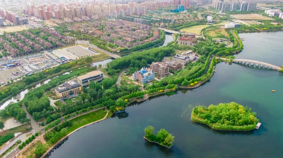 最高法院判例：水利水电工程建设项目中安置义务的审查